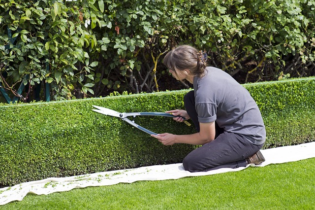 garden maintenance